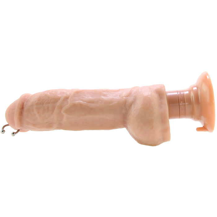 Blush Loverboy Bad Boy Next Door Realistic Pierced 11 in. Vibrating Dildo with Balls & Suction Cup Beige