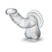 Suction Curved Dildo Realistic